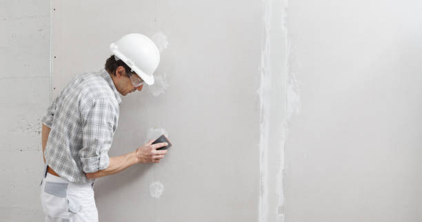 Best Forensic Mold Investigation  in Schulenburg, TX