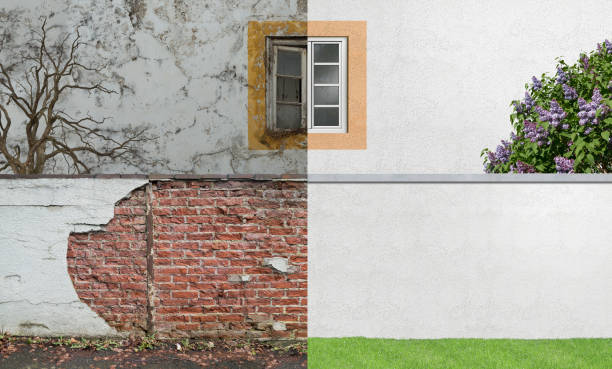 Best Mold Damage Restoration  in Schulenburg, TX